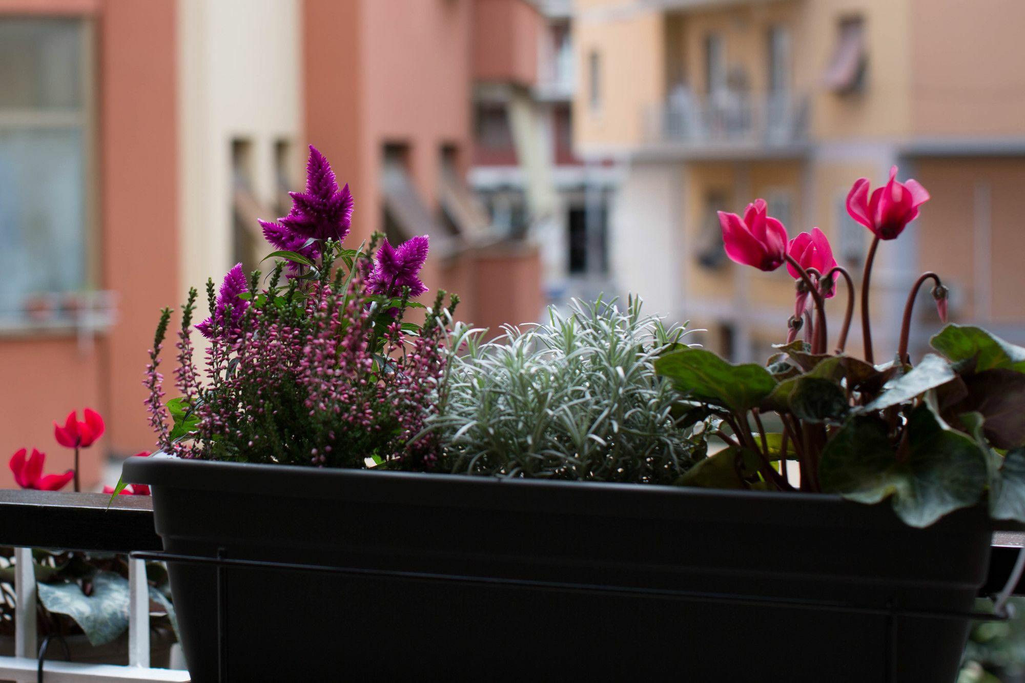 Rome By Suite Vatican Exterior foto